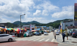 불법차량에 점령당한 임실읍 전통시장... 계도위주 단속에 난장판