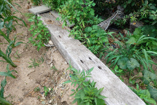 대륙철도의 미싱링크, 동해북부선을 따라 북으로 걷다