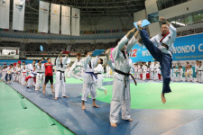 무주군, 국립 국제 태권도 사관학교 설립으로 태권도 상품화 추진