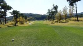 광주 125번째 코로나19 확진자, 전북 남원상록골프장서 라운딩