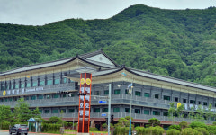 대진성주회 태백 사업 중단 장기화…‘코로나 탓?’