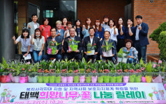 태백시, ‘희망나무·꽃 나눔 릴레이’ 전개