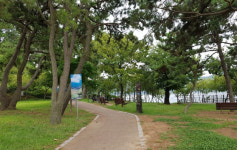 창원시 진해구 덕산동, 화려한 변신 사람들이 모인다
