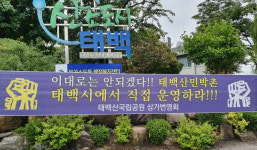 태백산민박촌 50% 제한 개방 논란