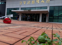[포토] 수해도 막지 못한 생명력...고창체육관 마당에 수박이