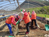 창원시아동위원협의회, 합천군 수해복구 지원에 구슬땀