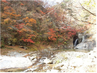 마을자치는 인제 산골의 작은 마을, ‘마의 태자’마을도 엄지척을 만든다