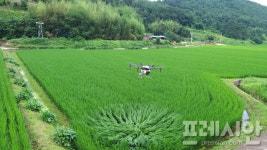 창녕군, 벼 병해충 긴급 공동방제