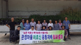 산청군 농촌  어르신 애써 키운 화훼 판로 열었다