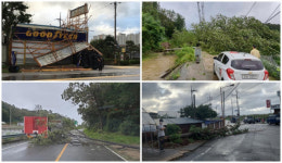 전북, 제9호 태풍 마이삭 농작물피해 등 48건 접수