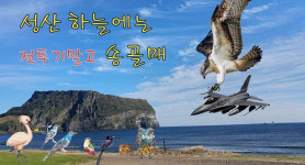 문재인 대통령께, 제주 성산읍 난산리 주민 김경배입니다