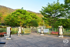 창원시 사파동, 비옥한 쌀밭에서 살기 좋은 사파로