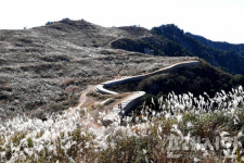 [가볼만한 곳] 은빛 억새 일렁이는 ‘창녕 화왕산의 秋’