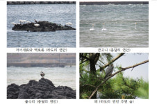 제2공항 건설예정지, 파헤칠 게 아니라 보호해야 할 생태계 보고