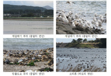 제2공항 건설예정지, 파헤칠 게 아니라 보호해야 할 생태계 보고