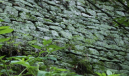 [기획]④태양광보단 백제 VS 신라 전투 유적지 보존이 우선...그 간절함은