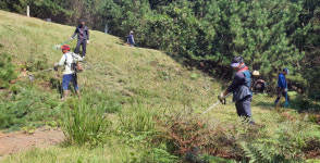 코로나 확진자 다시 줄었지만...대전 벌초 일가족 8명 집단 감염