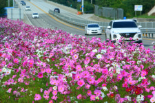 인제 국도변 따라 가을정취 만끽하세요