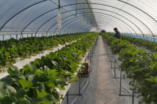 순창지역자활센터 공모 선정..3000만 원 확보