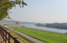 아산 곡교천에서 H5형 조류인플루엔자 항원 검출