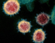 서울 지역 코로나19 확진자... 확진 전 제주 다녀가