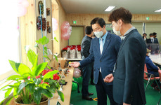 태백 구문소동, 독거노인 반려식물 지원사업 전시회 개최