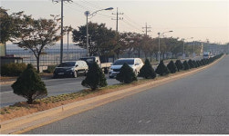 해남군 가로수경관 조성…큰 호응