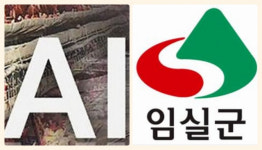 임실 육용종계농장서 조류인플루엔자(AI) 의심사례접수...간이검사서 양성