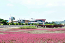 무안 생태갯벌과학관, 가족단위 관광객들에게 각광