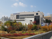 설날 관련 도서 마음대로 본다
