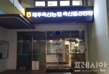 뉴제주만개농수축산 | 제주 도축장의 불편한 진실Ⅰ... 제대로 된 계근대도 없어
