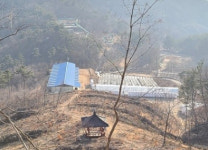 서산 부춘산 성왕산 방향 등산로 정비 시급