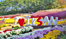 익산 신흥공원 일원 다이로움 익산 행복정원 확장 조성