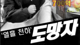 도주 열흘 천하로 막내린 700억 태양광 사기범 결국 쇠고랑