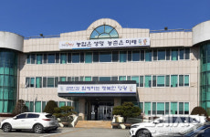영광군, 모싯잎 송편 속 재료 옥당동부 자급체계 구축사업 확대