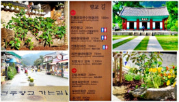 전주한옥마을 향교길이 꽃길로 향기가 가득...460m구간 숲속의 길 조성