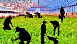 전주 미나리공동작업장 관련 확진자 4명 더 추가...미나리작업 확진 총 20명