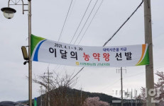전남 서영광농협  농약 왕 선발대회...이색적이다·황당하다