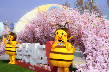 마산 로봇랜드 봄봄 페스티벌, 주말 내 색다른 공연도 펼쳐져