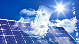 검찰, 태양광발전소 분양대금  682억 원 가로챈 업체 대표 기소