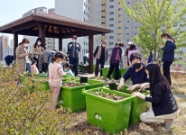 대구 동구 신천 도서관 파종부터 수확까지... 도시농부 운영