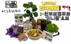 농산물을 직접 길러 냠냠...완주로컬푸드 홈파밍 미니팜 런칭