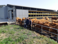 해남군, 만희 농장 전국 1호 한우 동물복지 축산농장 인증