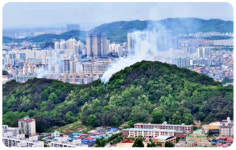 [종합] 전주 완산칠봉 산불 13개월 만에 발생...산림당국 계도비행중 발견