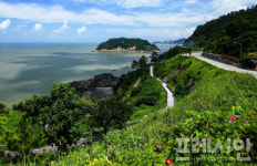 영광군, 백수해안도로 일대 칠산노을 치유의 숲길 조성·완료