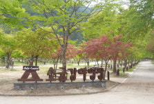 오대산국립공원 소금강 자동차 야영장 새 단장