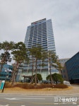 한국도로공사, 고속도로 동물찻길사고 5~6월 최다 발생 주의 당부