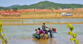 북한 농업 정책 분석...남북 농업 협력 가능할까