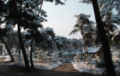 씨족중심 동족마을에 마을자치 바람, 치유체험마을로 변신하고 있다 