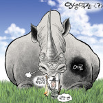 [만평] 성난 코뿔소 앞 인생 역전?
